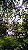 Pear Tree Farm