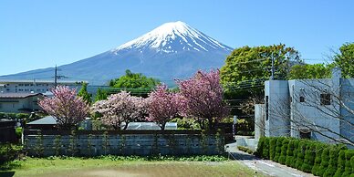Maruyaso