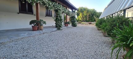 Gli Allori - Fuga dalla Città