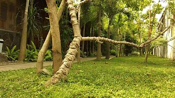 Bedhot Homestay
