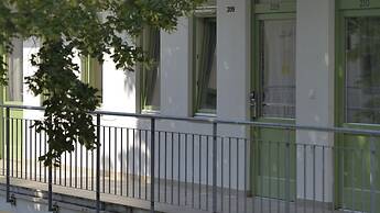 The Hive Party Hostel