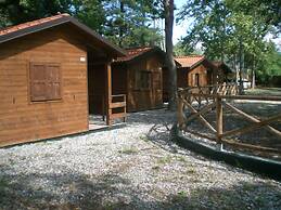 Camping Aviglianalacs