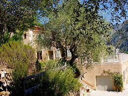 Le Mont D'olivine