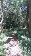 Cybele Lodge