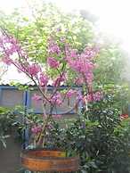 Barud Gedera