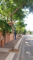 Barud Gedera