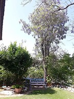 Barud Gedera