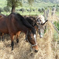 Agriturismo Modi