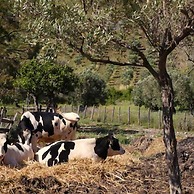 Agriturismo Modi
