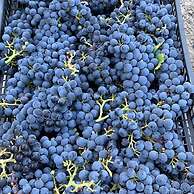 Agriturismo Modi