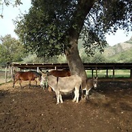 Agriturismo Modi