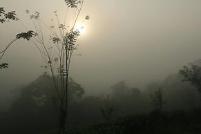 Monsoon Adventure Park