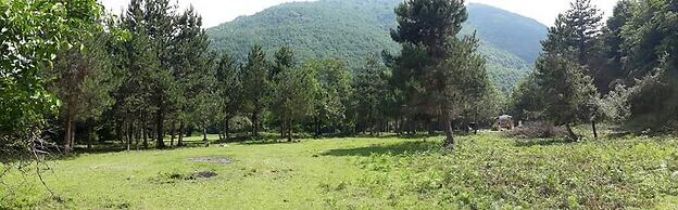 Kirkahvesi Garden - Campsite