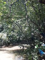 Kirkahvesi Garden - Campsite