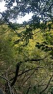 Kirkahvesi Garden - Campsite