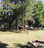 Kirkahvesi Garden - Campsite