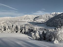 Gailerhof Boutique Hotel B&B Dolomites