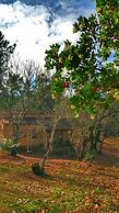 Finca La Viriñuela