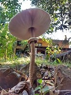 Finca La Viriñuela