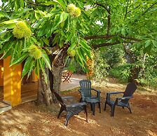 Finca La Viriñuela