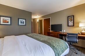 Comfort Inn & Suites – Harrisburg Airport – Hershey South