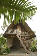 Nalu Surf Camp