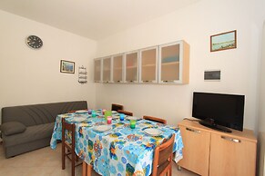 Begonia Villas