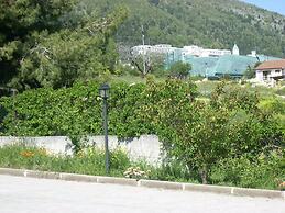 Hotel Margherita