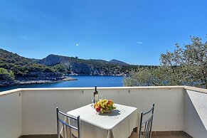 Apartments Cico