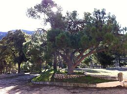 Masia La Safranera