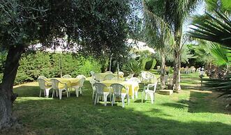 L'Araucaria