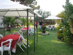 L'Araucaria