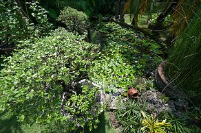 Pondok Agung Bed & Breakfast