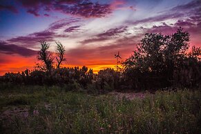 Sol del Desierto