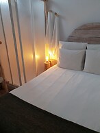 Cactus Host