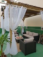 Cactus Host