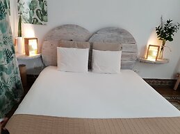 Cactus Host