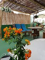Cactus Host