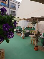 Cactus Host