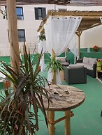 Cactus Host