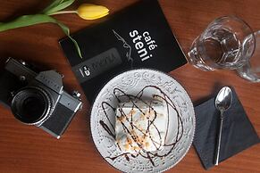 Hotel Steni