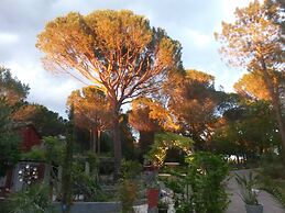 Les Mayombes