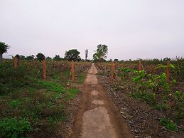 La Viña de Oscar