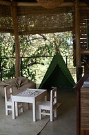 Flameback Eco Lodge