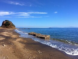 Le Maree Fede