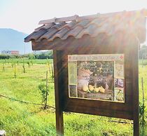 Beatrice Home B&B