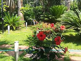 Beatrice Home B&B