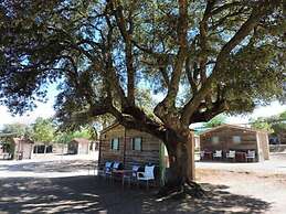 Hostal - Camping Ciudad de Cáceres