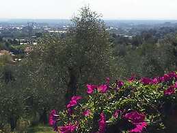Il Campano