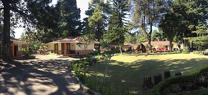Arra Lembah Pinus